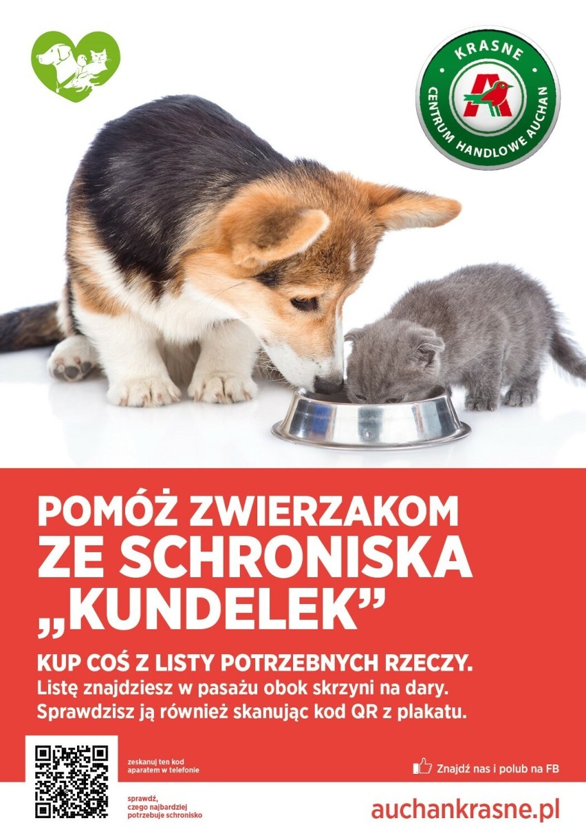 Zbiórka karmy i środków czystości dla zwierząt ze Schroniska Kundelek