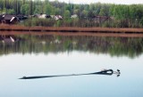 Śląskie ekologiczne: Staw Kalina od lat jest groźny dla ludzi i natury