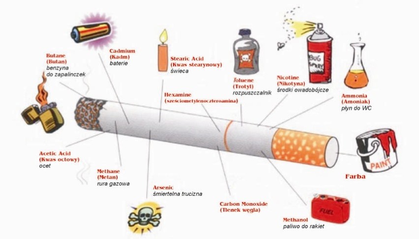 Skład papierosa