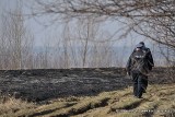 Groźny pożar trawy w okolicach Łańcuta