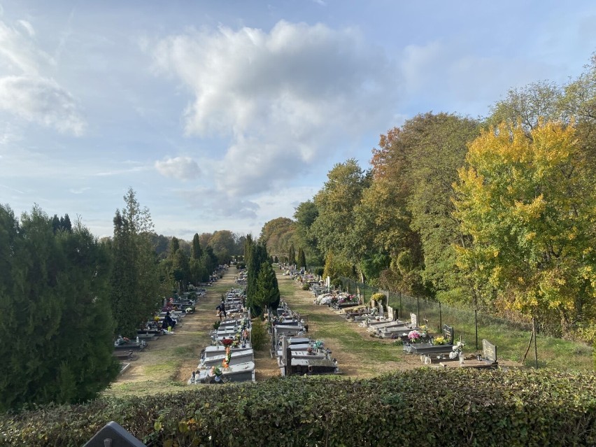 Ile osób zostało już pochowanych na cmentarzu komunalnym w...