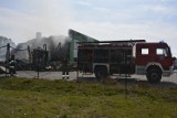 Pożar pieczarkarni w Lipinkach