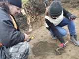 Oświęcim. Archeolodzy trafili na cenne znaleziska na wzgórzu zamkowym