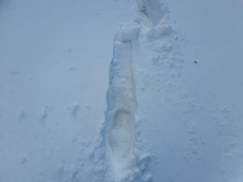 Muszyński Malnik w zimowej odsłonie. Wszędzie pełno śniegu