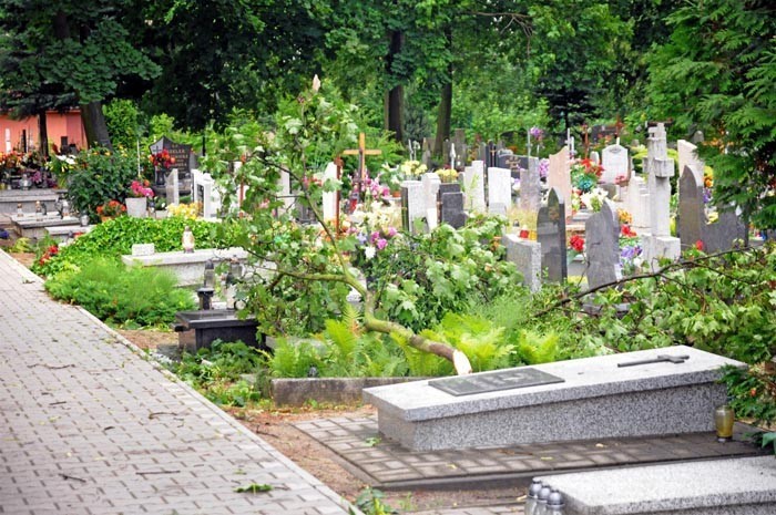 Śrem: zniszczenia po huraganie na cmentarzu parafialnym przy ul. Cmentarnej