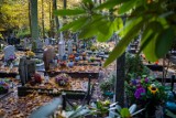Ile kosztuje miejsce na szczecińskich cmentarzach? Sprawdziliśmy cenniki