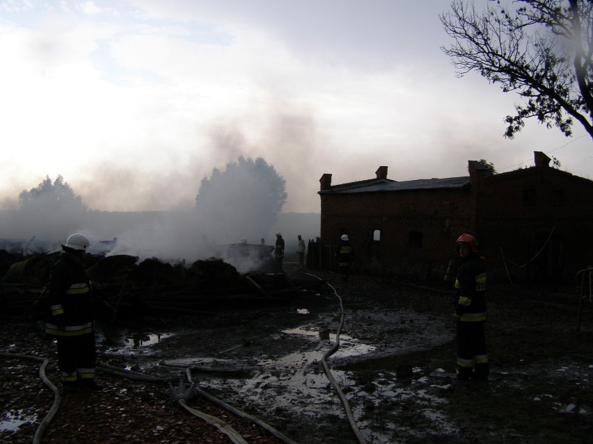 Pożar w Pręgowie Żuławskim (gm. Nowy Staw). Spłonęła stodoła