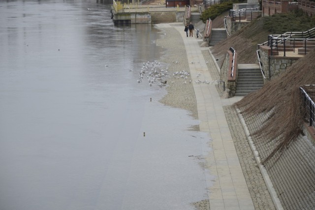 Warta w Gorzowie zalała dolną część bulwaru.