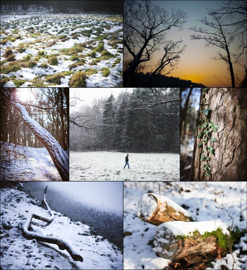 Przepiękne zimowe ujęcia Szczecina. Zobaczcie te zdjęcia