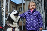 Dogtrekking [ZDJĘCIA]. Finał Pucharu Polski