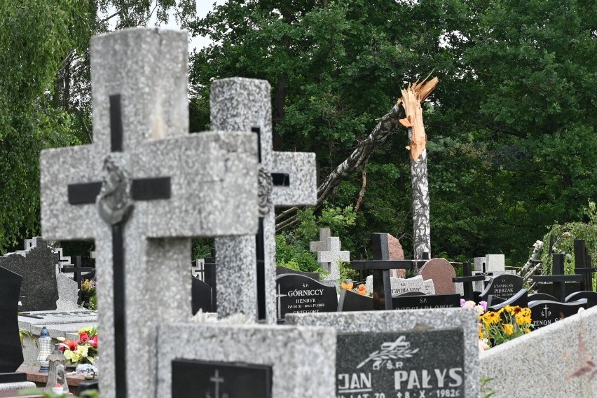 Zdewastowane cmentarze, zniszczonych kilkadziesiąt nagrobków w Kielcach. Piątkowa wichura narobiła mnóstwo strat (ZDJĘCIA, WIDEO)