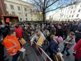 Wielkie kolejki pod magistratem w Krakowie. Tłumy zjawiły się po walentynkowe budki dla ptaków