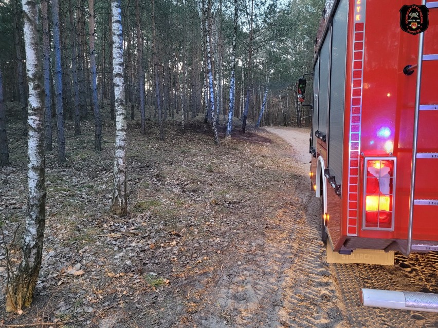 Pożar ściółki leśnej w rejonie Os. Widok w Chodzieży