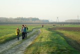 Sławków na szlaku czyli droga świętego Jakuba