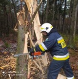 Pogoda dała o sobie znać. Pracowity weekend płockich i okolicznych strażaków [ZDJĘCIA]