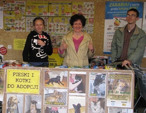 Z Reksa: Wiosenna zbiórka karmy i prośba o adopcję kotów