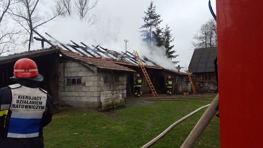 Radgoszcz. Pożar budynku gospodarczego [ZDJĘCIA]