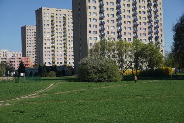 Kontrowersje wzbudził teren wybrany pod budowę obiektu.