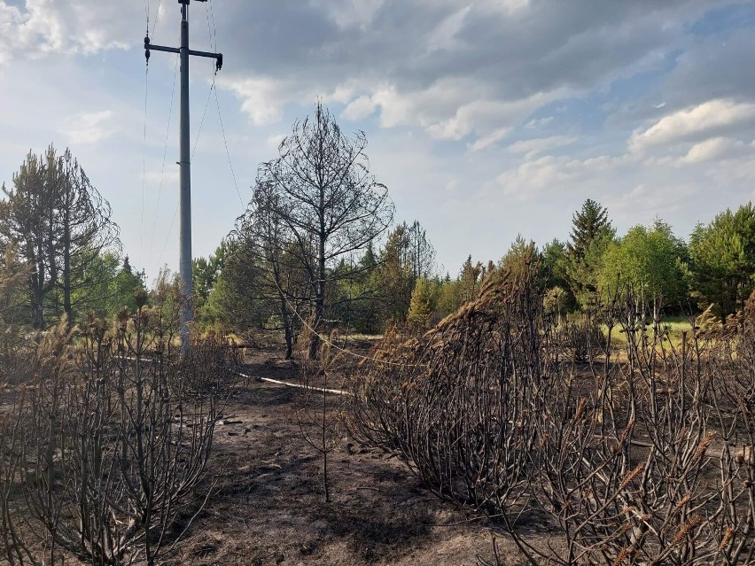 W niedzielę w ciągu godziny doszło do dwóch pożarów [ZDJĘCIA]