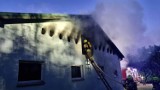 W Trzebiszewie palił się budynek gospodarczy. W środku były konie. Strażacy walczyli z ogniem trzy godziny