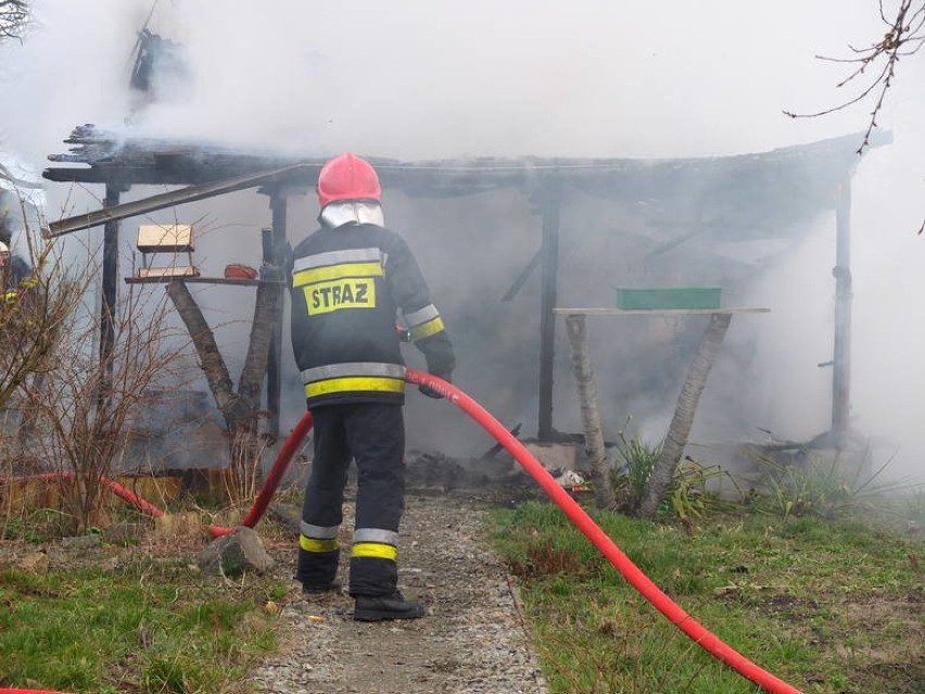Pożar na działkach w Opolu