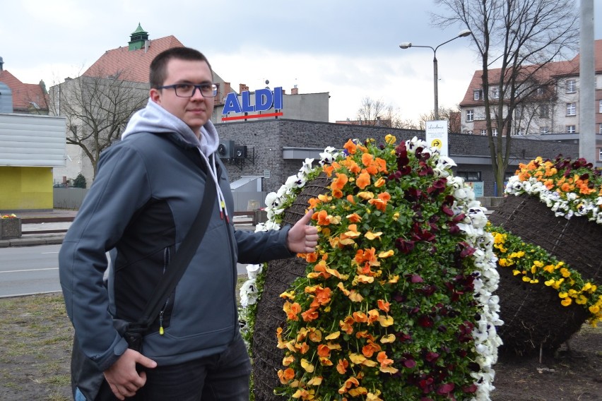 Wiosna w Gliwicach nabiera kolorów. Są i świąteczne dekoracje