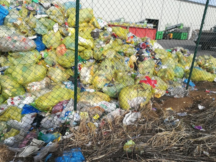 Balin. Pełno śmieci wokół wysypiska w Balinie. Trwa ich sprzątanie