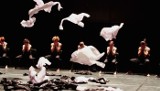 Polski Teatr Tańca - Energetyczny spektakl Naharina
