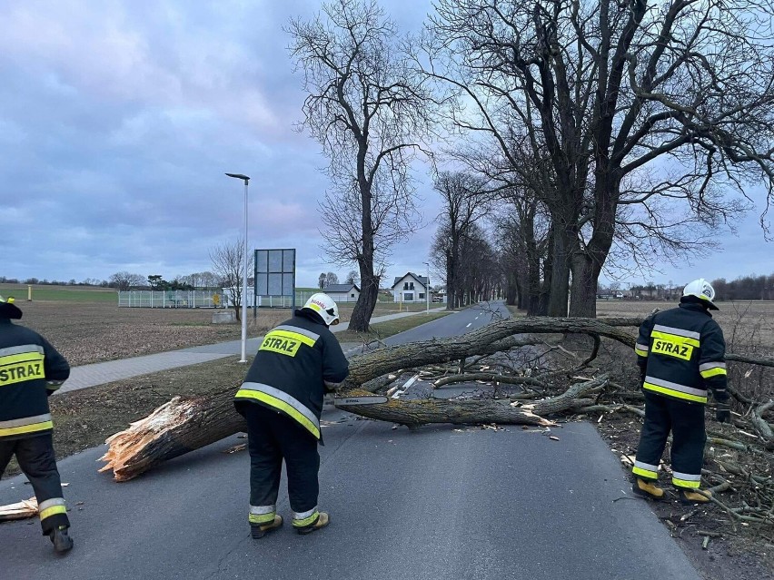 Wichura w powiecie gnieźnieńskim. Przez nasz kraj przechodzi orkan Eunice