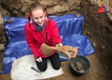 Nowy Sącz. Kości średniowiecznego psa mogą namieszać w historii miasta. Archeolodzy znaleźli ślady drewnianej osady pod sądeckim zamkiem