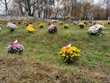 Udekorowali kwiatami zapomniany cmentarz wojenny w Chrzanowie z okresu I wojny światowej [ZDJĘCIA]