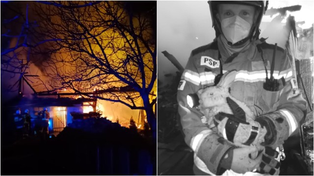 Ogień niemal doszczętnie strawił budynek, ale strażacy uratowali z niego kilka zwierząt.