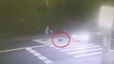 Kierowca bmw zabił psa na przejściu w Rędzinach [VIDEO] Policja szuka sprawcy. Śledczy przesłuchali już pokrzywdzonego