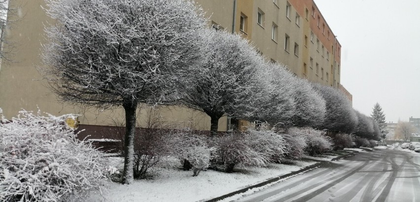 Pierwszy śnieg w Pruszczu Gdańskim. Biało zrobiło sie na ulicach. Zobaczcie zdjęcia!