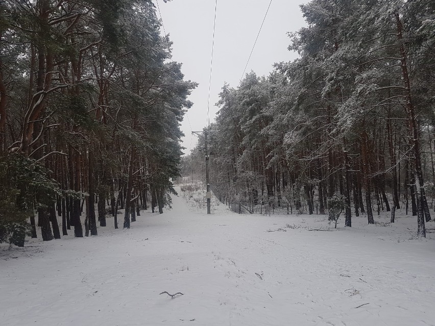 - 30 st. C w Polsce to oczywiście ekstremum, którego...