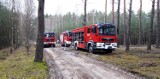 9 zastępów strażaków na sygnałach wjechało do lasu pod Grubskiem [ZDJĘCIA]