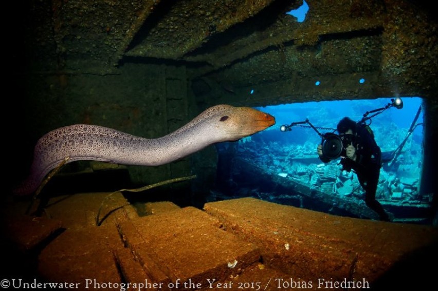Zobaczcie najlepsze podwodne zdjęcia roku!
