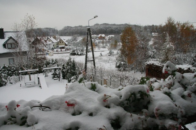 Widok na &quot;dzień dobry&quot;. Fot.Ewa Kowalska