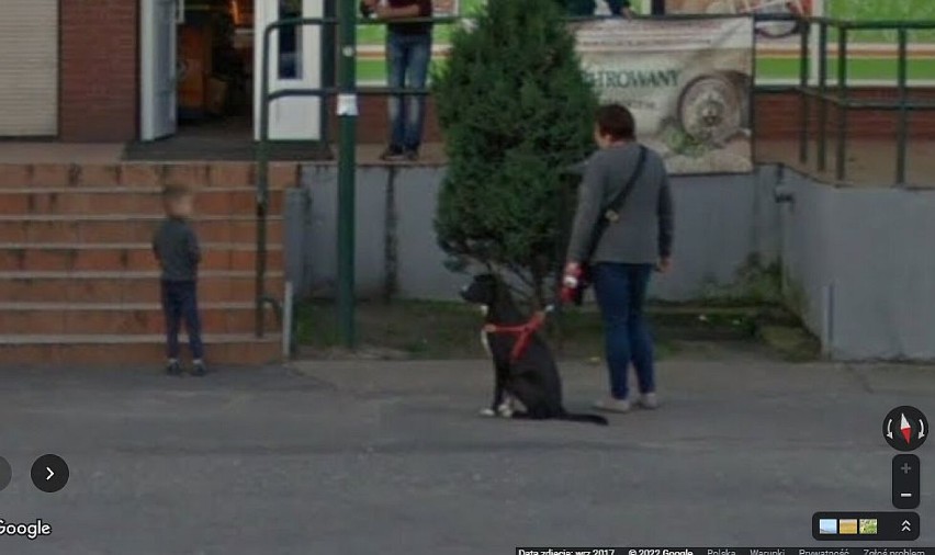 Oto nasi przyjaciele. Na mapach Google Street View stali się...