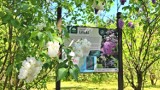 Arboretum Wirty nominowane w konkursie Cuda Polski - trwa głosowanie 
