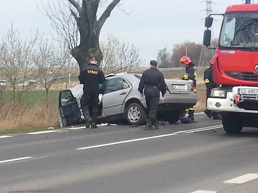 Gliwice: Wypadek na ul. Rybnickiej. Samochód wjechał w drzewo, dwie osoby ranne