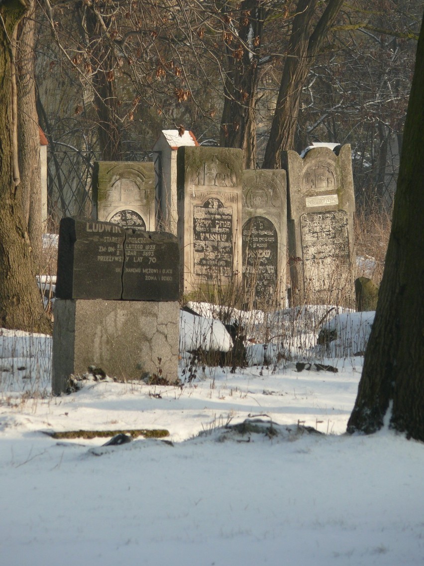 Kalisz: Zinwentaryzują cmentarz żydowski. Zwiedzisz go również w sieci. FOTO