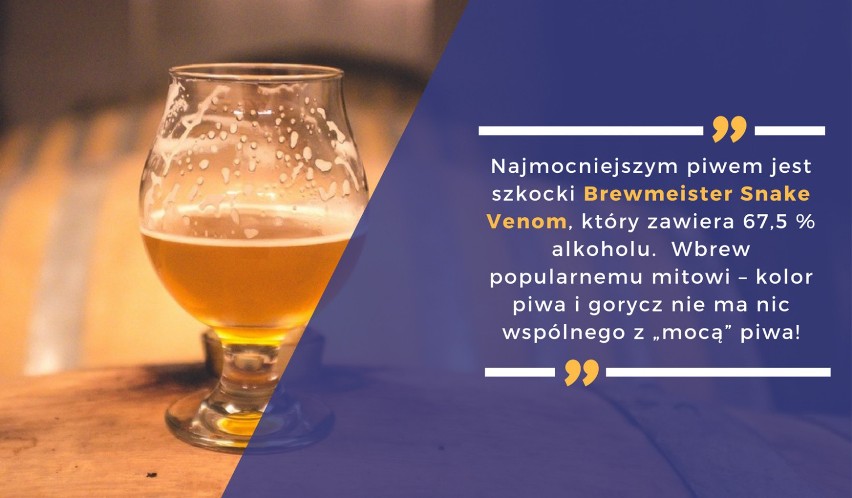 Najmocniejszym piwem jest szkocki Brewmeister Snake Venom,...