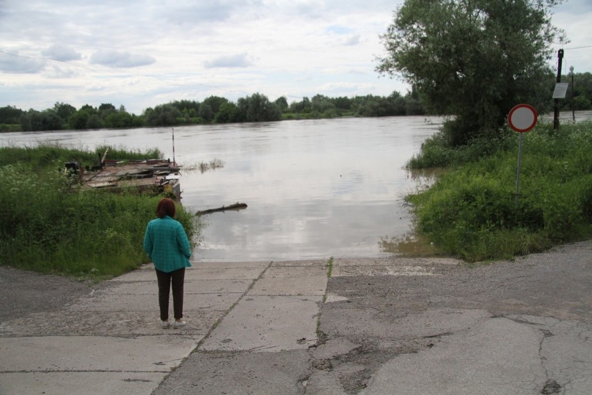  W Tarnobrzegu poziom wody w Wiśle stale sie podnosi. Prom już nie kursuje (ZDJĘCIA Z 23 CZERWCA)
