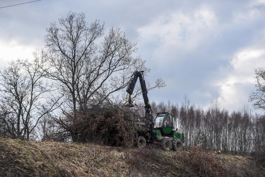 Gdańsk: Ruszyła wycinka drzew na miejskim odcinku „bajpasu...