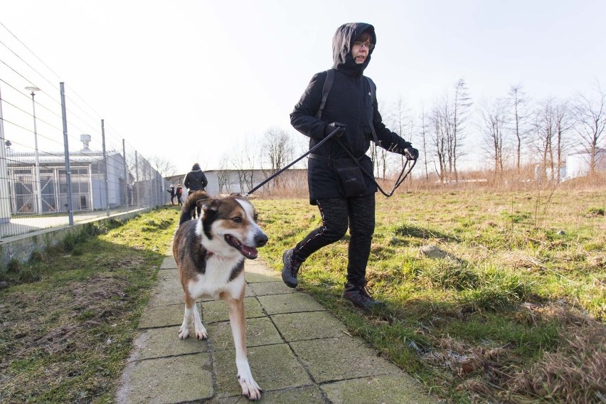 Walentynkowy spacer z podopiecznymi słupskiego schroniska...