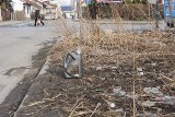 Nowy Sącz po zimie: krajobraz ze śmieciami [ZDJĘCIA]
