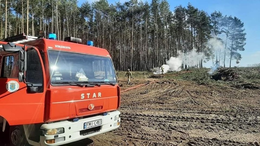 Tym razem trzeba było interweniować na nieużytkach pod...