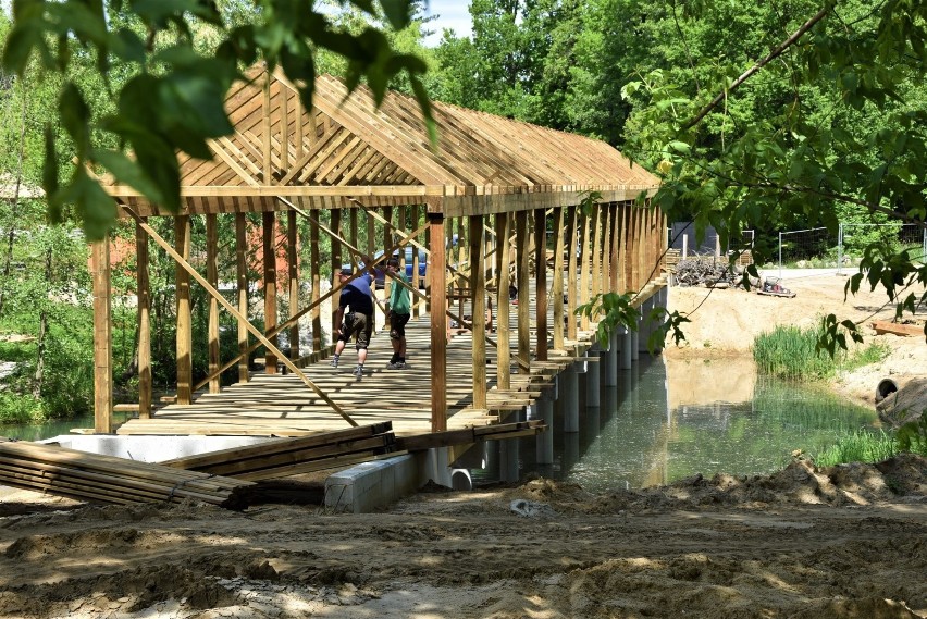 Zoo w Opolu. Budowa wybiegu lwów i tygrysów