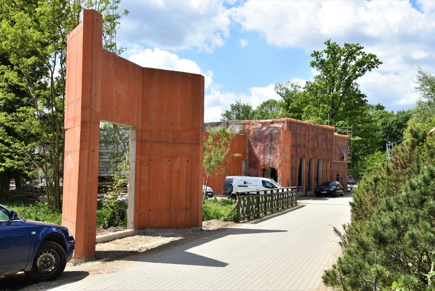 Zoo w Opolu. Budowa wybiegu lwów i tygrysów